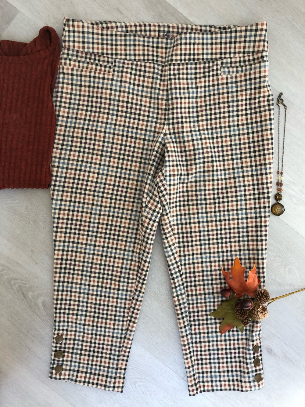 Cinnamon Plaid Stretch Ankle Pants Size 16P